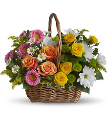 Sweet Tranquility Basket from Martinsville Florist, flower shop in Martinsville, NJ